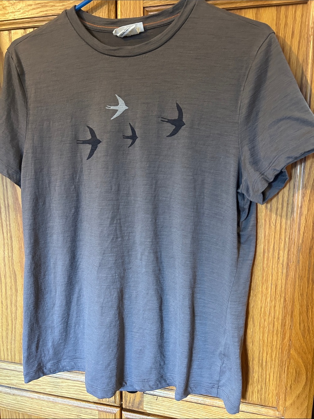 Icebreaker Women's Charcoal Short-Sleeve Tee with Bird Silhouette